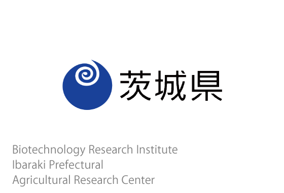 Biotechnology Research Institute Ibaraki Prefectural Agricultural Research Center