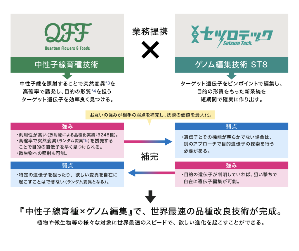 QFFとセツロテックの業務提携